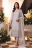 Embroidered Chiffon Chikan Kari 01