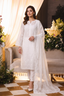 Embroidered Chiffon Chikan Kari 04