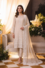 Embroidered Chiffon Chikan Kari 05