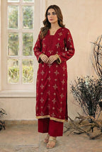 2 Piece Embroidered Dhanak D4