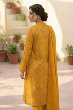 3 Piece Dhanak D4