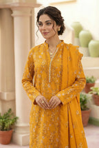 3 Piece Dhanak D4