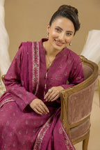 3 Piece Printed Khaddar D1