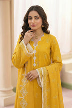 3 Piece Dhanak D5