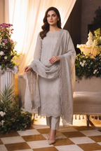 Embroidered Chiffon Chikan Kari 01