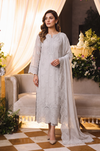 Embroidered Chiffon Chikan Kari 02