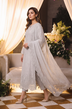 Embroidered Chiffon Chikan Kari 02