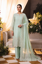Embroidered Chiffon Chikan Kari 03
