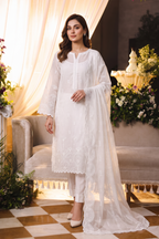 Embroidered Chiffon Chikan Kari 04
