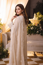 Embroidered Chiffon Chikan Kari 05